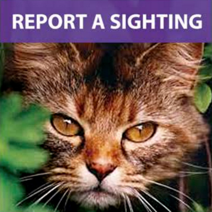 Report a sighting