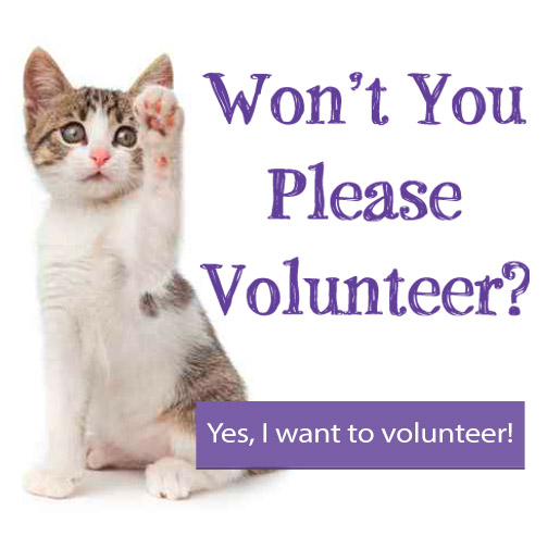 Won't you please volunteer?