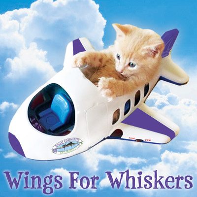 Wings For Whiskers