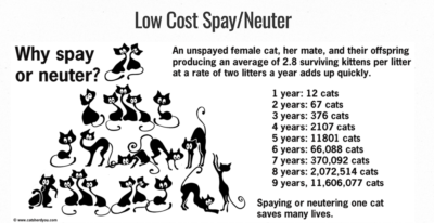 Low Cost Spay Neuter  chart