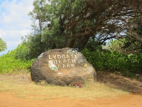 Lydgate Beach Park rock
