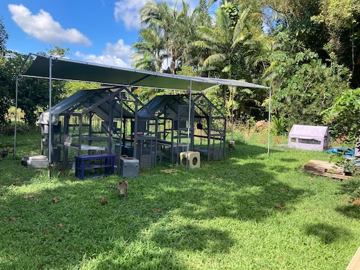 Catios at Lydgate Sanctuary