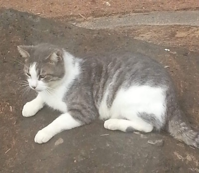 Gus is relaxing