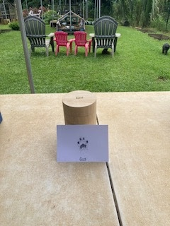 Gus' spot
